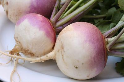 A picture of a turnip, used as a placeholder image for a first post.